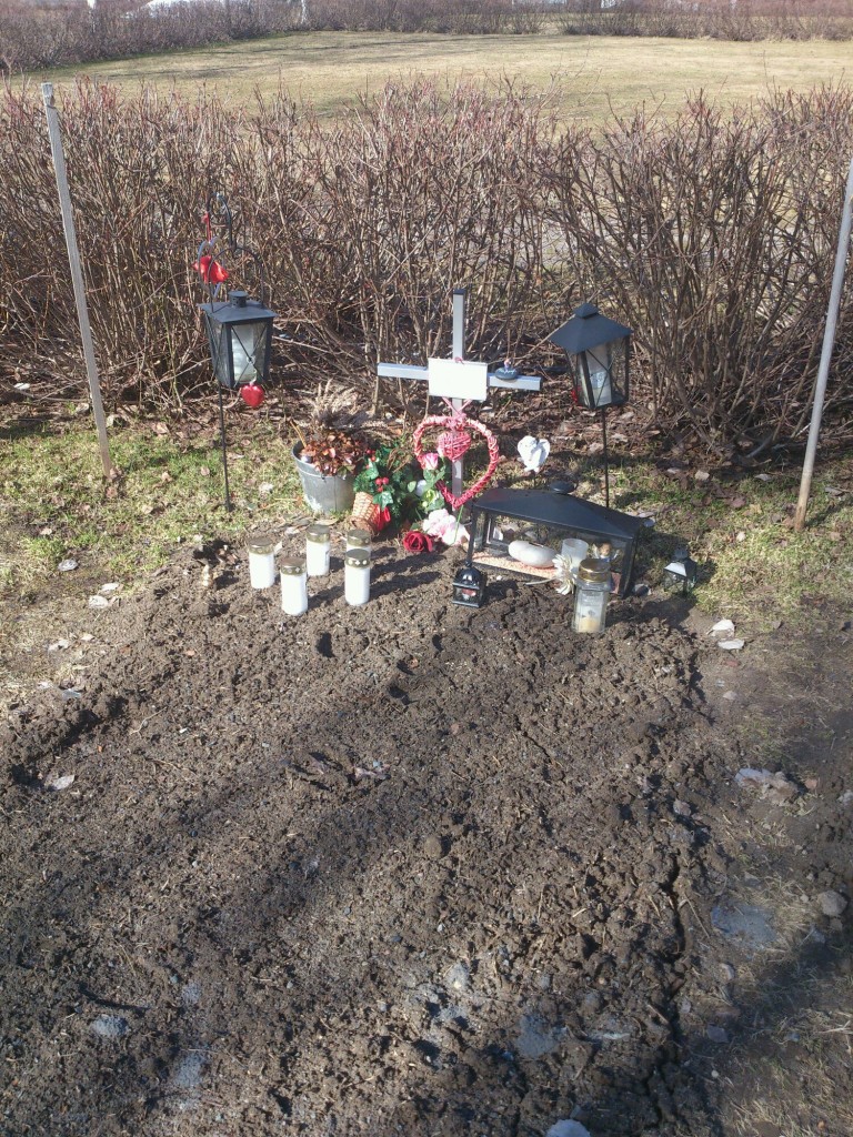 224a022c-053b-4067-aca6-fe48f206437d