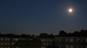 10403737_1445174699072309_7003187391713755421_o