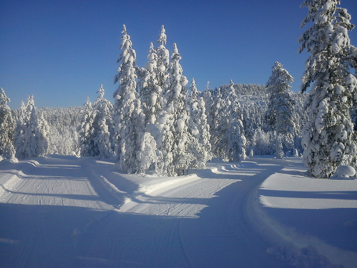 fc2406fc9b7debd17a7c1b85638e8f48_720x560