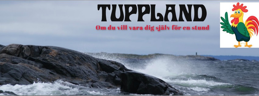 10806239_1520146148241830_2113430526534374109_n